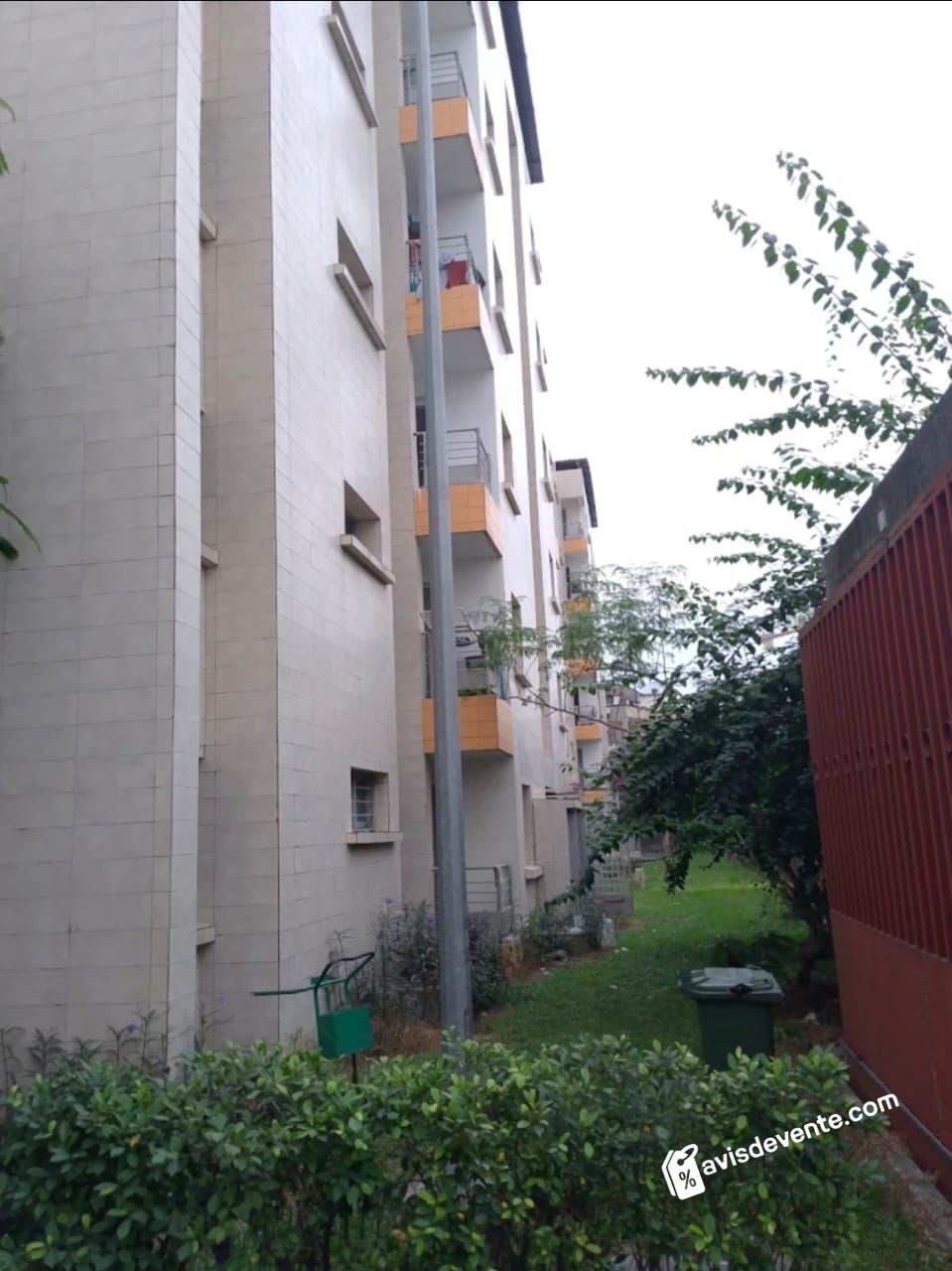 Image 4