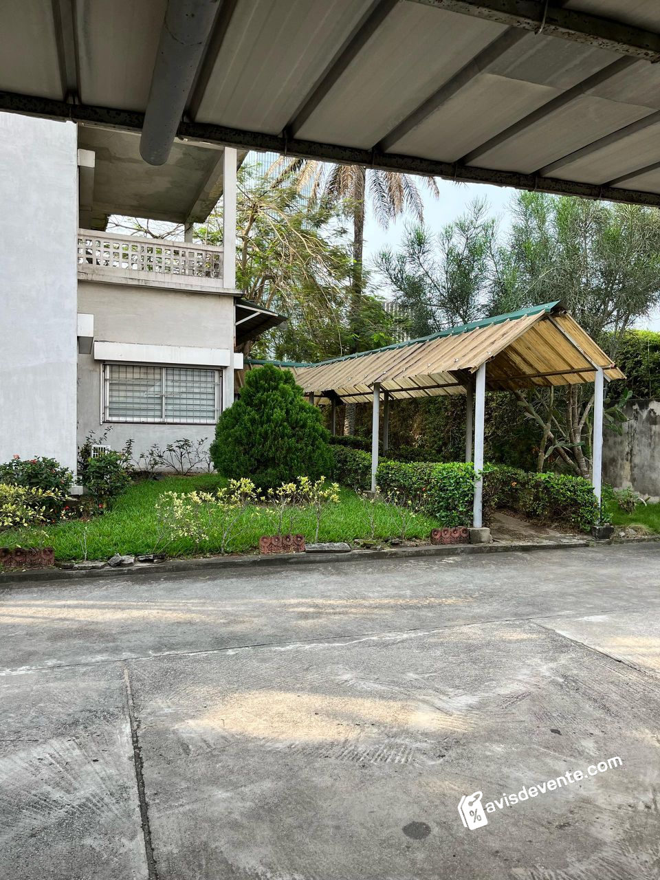 Image 5