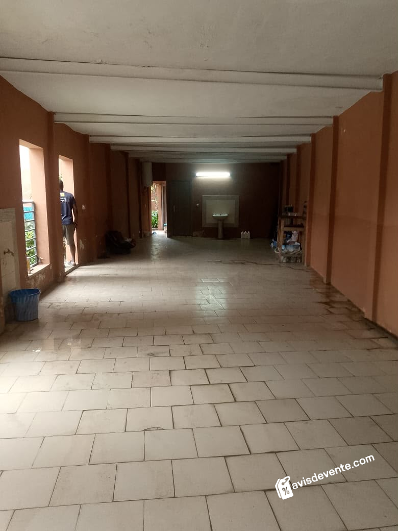 Image 6